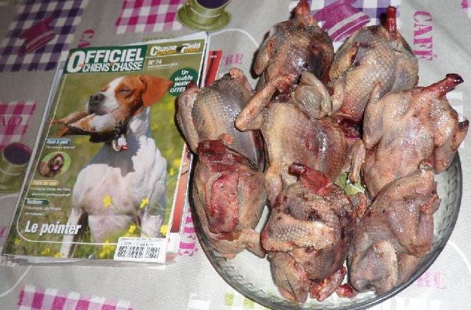 De La Plaine De Chaouia - manger des Pigeons c'est très bon ! 