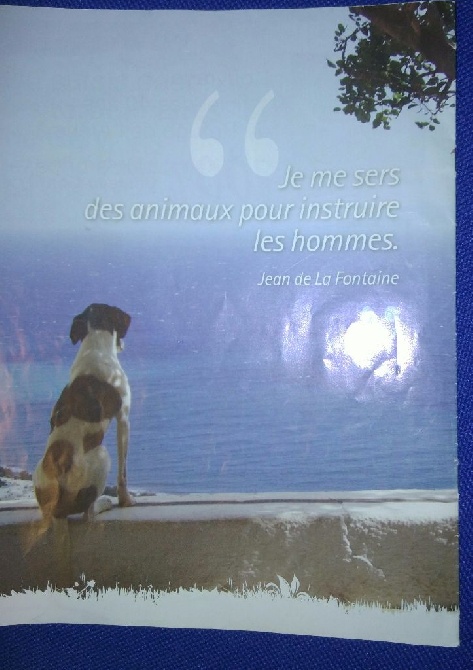 De La Plaine De Chaouia - Les animaux au service de l'homme