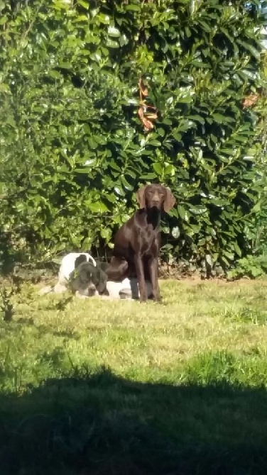 Le banc à Lomia 