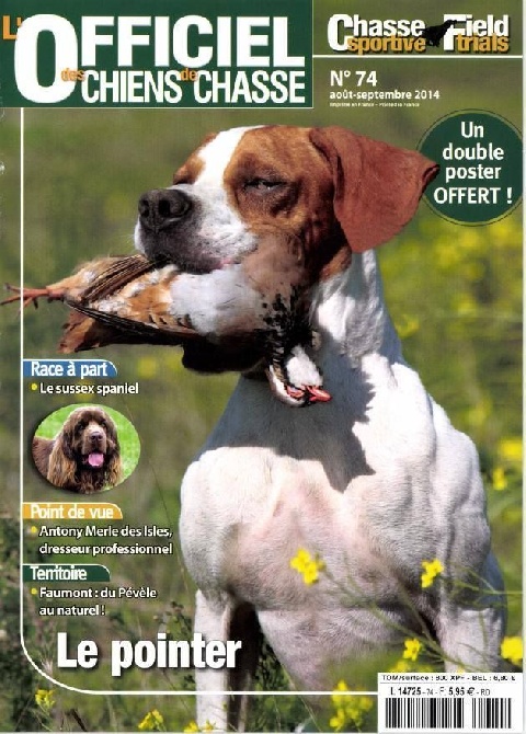 De La Plaine De Chaouia - l'officiel des chiens de chasse