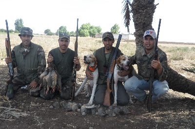 De La Plaine De Chaouia - la chasse,les amis, le bonheur